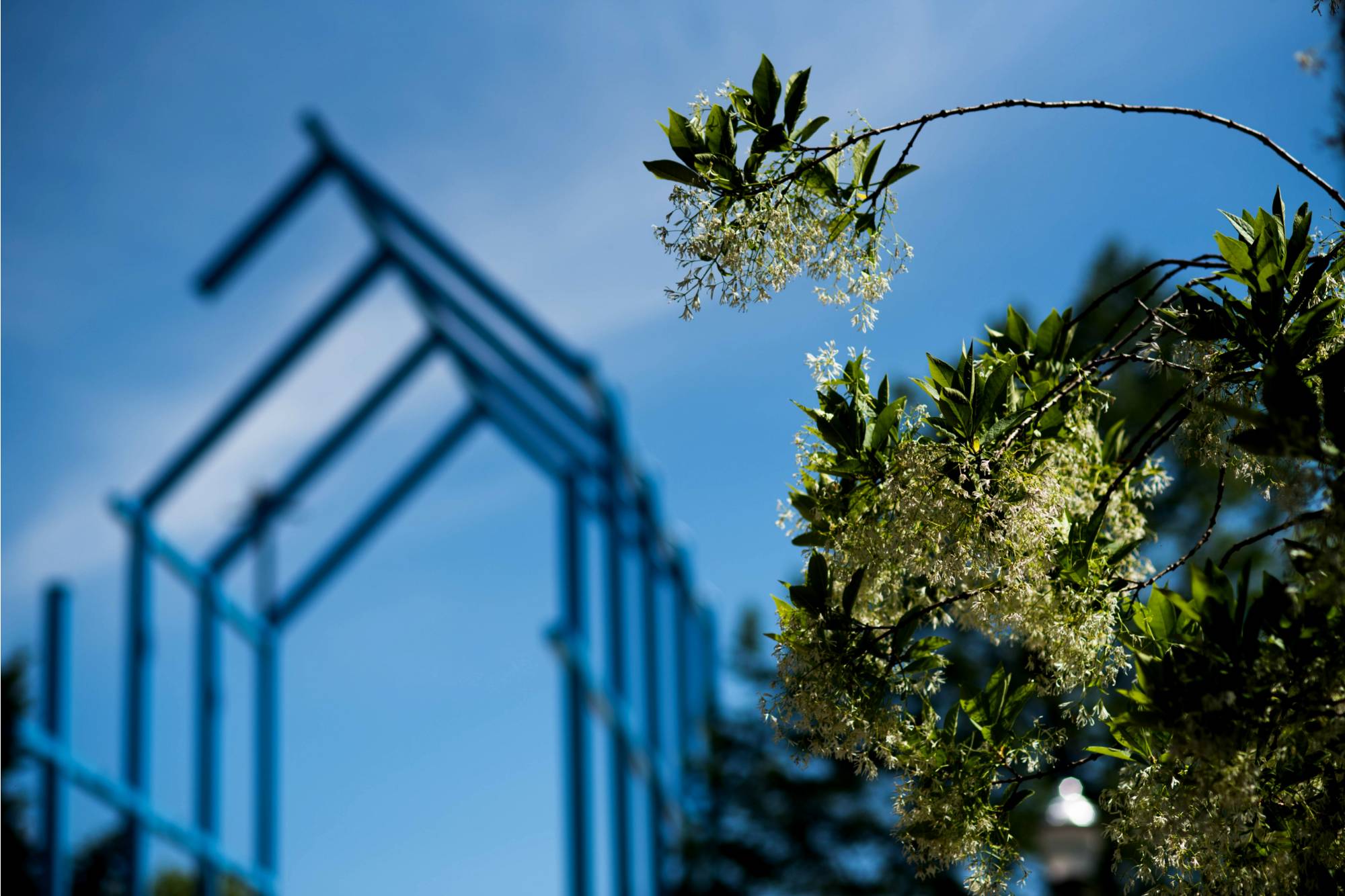 Blue sculpture with branches in foreground